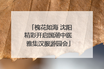 槐花如海 沈阳精彩开启国潮中医雅集汉服游园会