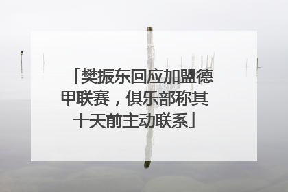 樊振东回应加盟德甲联赛，俱乐部称其十天前主动联系