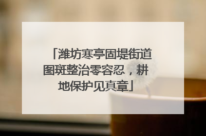 潍坊寒亭固堤街道图斑整治零容忍，耕地保护见真章