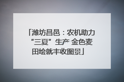 潍坊昌邑：农机助力“三夏”生产 金色麦田绘就丰收图景