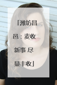潍坊昌邑：麦收新事 尽显丰收