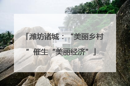 潍坊诸城：“美丽乡村”催生“美丽经济”