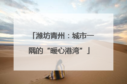 潍坊青州：城市一隅的“暖心港湾”