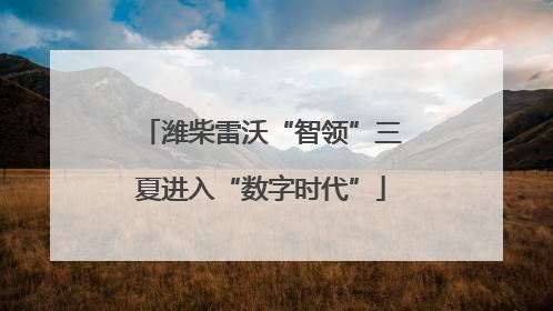 潍柴雷沃“智领”三夏进入“数字时代”