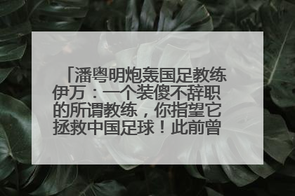 潘粤明炮轰国足教练伊万：一个装傻不辞职的所谓教练，你指望它拯救中国足球！此前曾多次发文评价国足