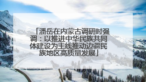 潘岳在内蒙古调研时强调：以推进中华民族共同体建设为主线推动边疆民族地区高质量发展