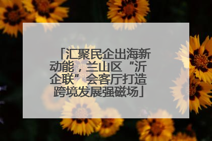 汇聚民企出海新动能，兰山区“沂企联”会客厅打造跨境发展强磁场