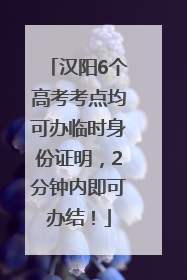 汉阳6个高考考点均可办临时身份证明，2分钟内即可办结！