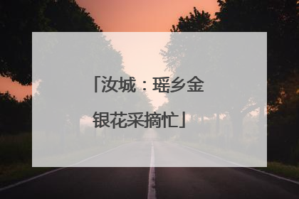 汝城：瑶乡金银花采摘忙