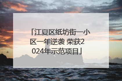 江夏区纸坊街一小区一年逆袭 荣获2024年示范项目