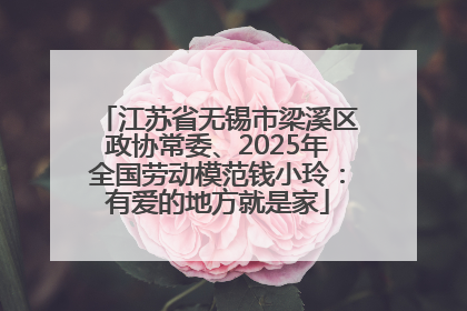 江苏省无锡市梁溪区政协常委、2025年全国劳动模范钱小玲：有爱的地方就是家