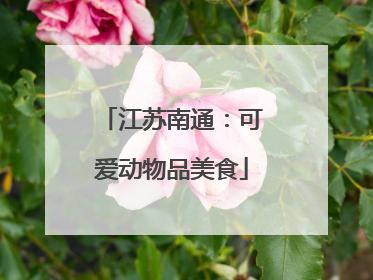 江苏南通：可爱动物品美食