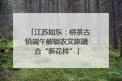 江苏如东：栟茶古镇端午解锁农文旅融合“新花样”