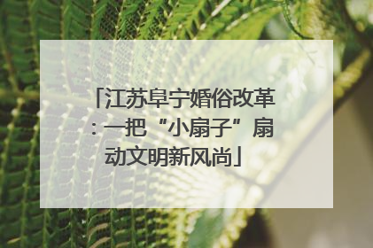 江苏阜宁婚俗改革：一把“小扇子”扇动文明新风尚
