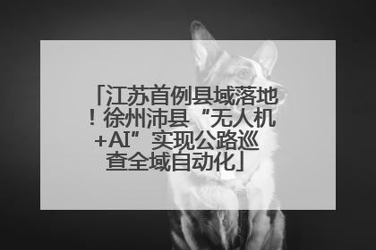江苏首例县域落地！徐州沛县“无人机+AI”实现公路巡查全域自动化
