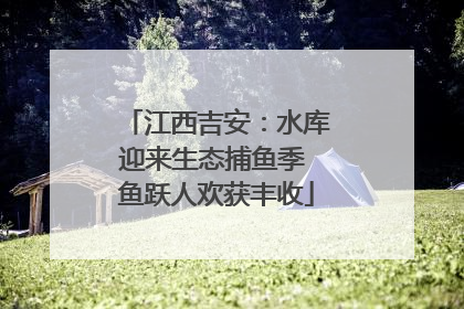 江西吉安：水库迎来生态捕鱼季 鱼跃人欢获丰收
