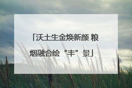 沃土生金焕新颜 粮烟融合绘“丰”景
