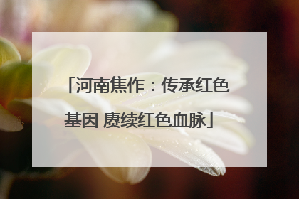 河南焦作：传承红色基因 赓续红色血脉
