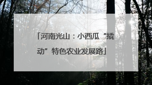 河南光山：小西瓜“撬动”特色农业发展路