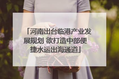 河南出台临港产业发展规划 欲打造中部便捷水运出海通道