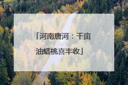 河南唐河：千亩油蟠桃喜丰收