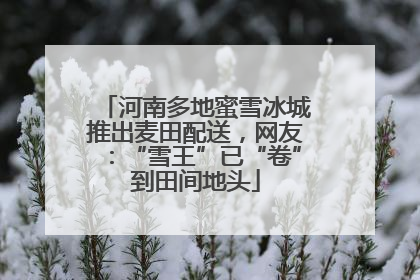 河南多地蜜雪冰城推出麦田配送，网友：“雪王”已“卷”到田间地头