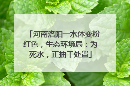 河南洛阳一水体变粉红色，生态环境局：为死水，正抽干处置