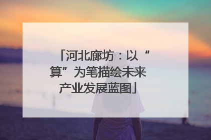 河北廊坊：以“算”为笔描绘未来产业发展蓝图