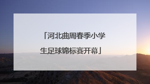 河北曲周春季小学生足球锦标赛开幕