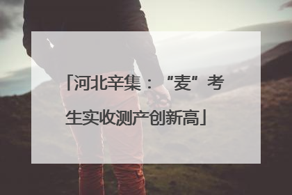 河北辛集：“麦”考生实收测产创新高