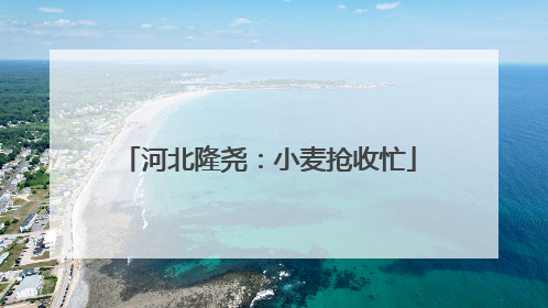 河北隆尧：小麦抢收忙