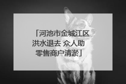 河池市金城江区洪水退去 众人助零售商户清淤