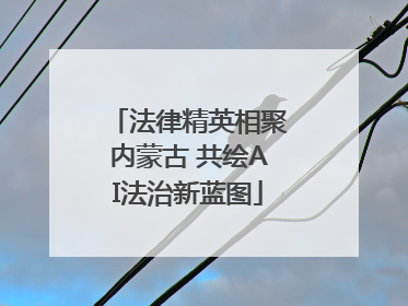 法律精英相聚内蒙古 共绘AI法治新蓝图