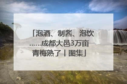 泡酒、制酱、泡饮……成都大邑3万亩青梅熟了丨图集