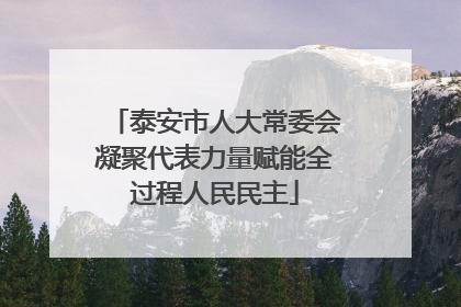 泰安市人大常委会凝聚代表力量赋能全过程人民民主