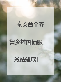 泰安首个齐鲁乡村国债服务站建成