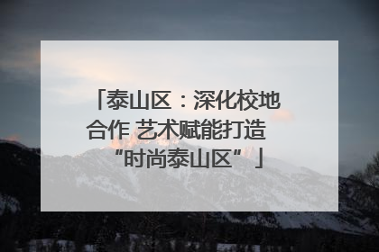 泰山区：深化校地合作 艺术赋能打造“时尚泰山区”