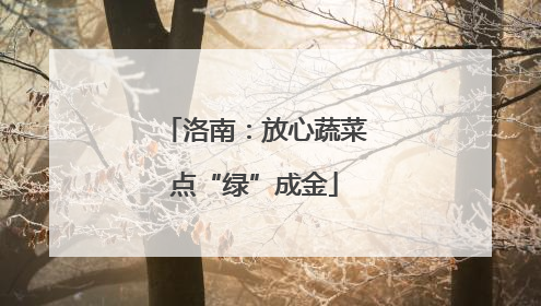洛南：放心蔬菜点“绿”成金