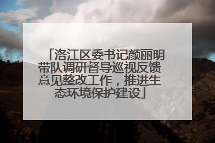 洛江区委书记颜丽明带队调研督导巡视反馈意见整改工作，推进生态环境保护建设