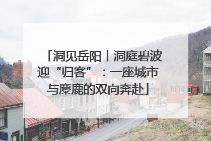 洞见岳阳丨洞庭碧波迎“归客”：一座城市与麋鹿的双向奔赴