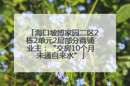 海口坡博家园二区2栋2单元2层部分商铺业主：“交房10个月未通自来水”