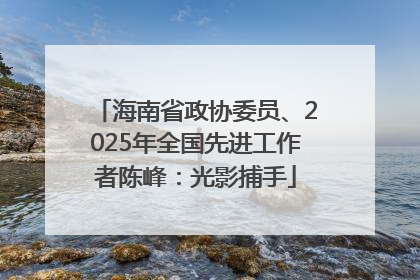海南省政协委员、2025年全国先进工作者陈峰：光影捕手