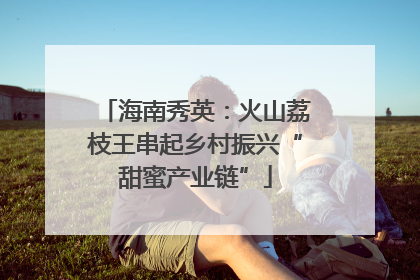 海南秀英：火山荔枝王串起乡村振兴“甜蜜产业链”