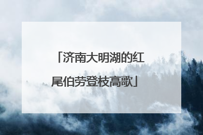 济南大明湖的红尾伯劳登枝高歌