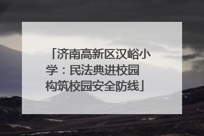 济南高新区汉峪小学：民法典进校园 构筑校园安全防线