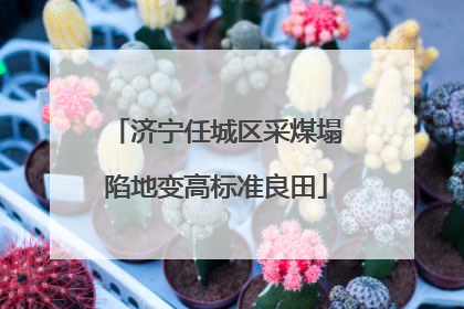 济宁任城区采煤塌陷地变高标准良田