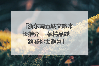 浙东南五城文旅来长推介 三条精品线路喊你去避暑