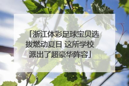 浙江体彩足球宝贝选拔燃动夏日 这所学校派出了超豪华阵容