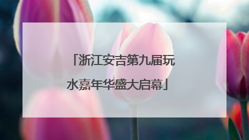 浙江安吉第九届玩水嘉年华盛大启幕