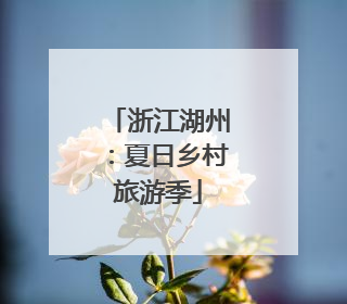 浙江湖州：夏日乡村旅游季